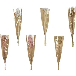 Kunstblume DRIED (LBH 5x12x65 cm) - LBH 5x12x65 cm