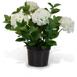 Hortensie (Hydrangea) Kunstpflanze mit 5 Blüten weiß