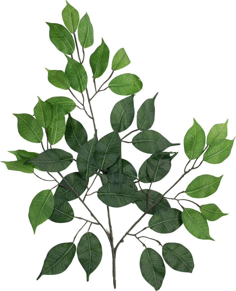 Europalms Ficuszweig Benjamina, Künstlich, 12x
