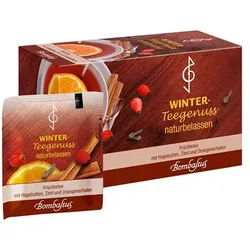 WINTER-TEEGENUSS Filterbeutel 20X3 g