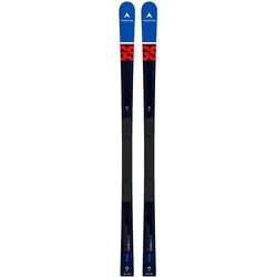 Dynastar, Ski, (170 cm, Ohne Bindung)