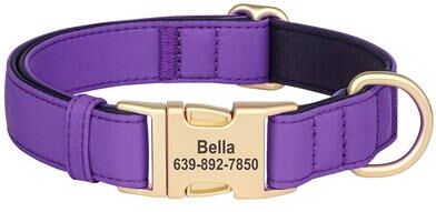 Uplift Treasures Personalized Waterproof Nylon Dog Collar With Free Engraving purple m