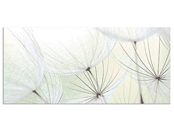 ARTland Spritzschutz Küchenrückwand aus Alu für Küche Herd Spüle 120x55 cm (BxH) mit Motiv Blume Pusteblume Landschaft Natur Zen Modern Hell Grün S9MV