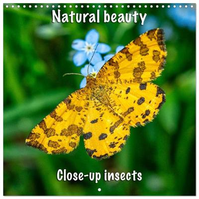 Natural beauty. Close-up insects (Wall Calendar 2026 12 × 12 Inch) CALVENDO 12 Month Wall Calendar