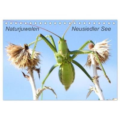 Naturjuwelen - Neusiedler See (Tischkalender 2026 DIN A5 quer), CALVENDO Monatskalender