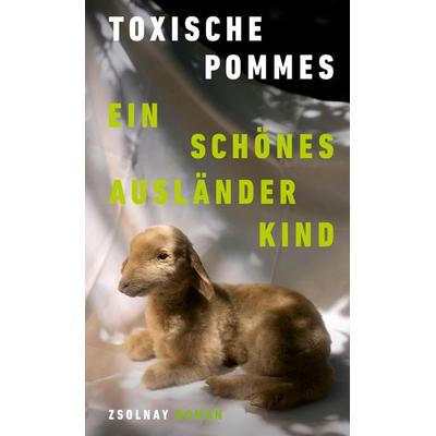 Ein schÃ¶nes AuslÃ¤nderkind, Gebundene Ausgabe von Toxische Pommes, Zsolnay, Paul