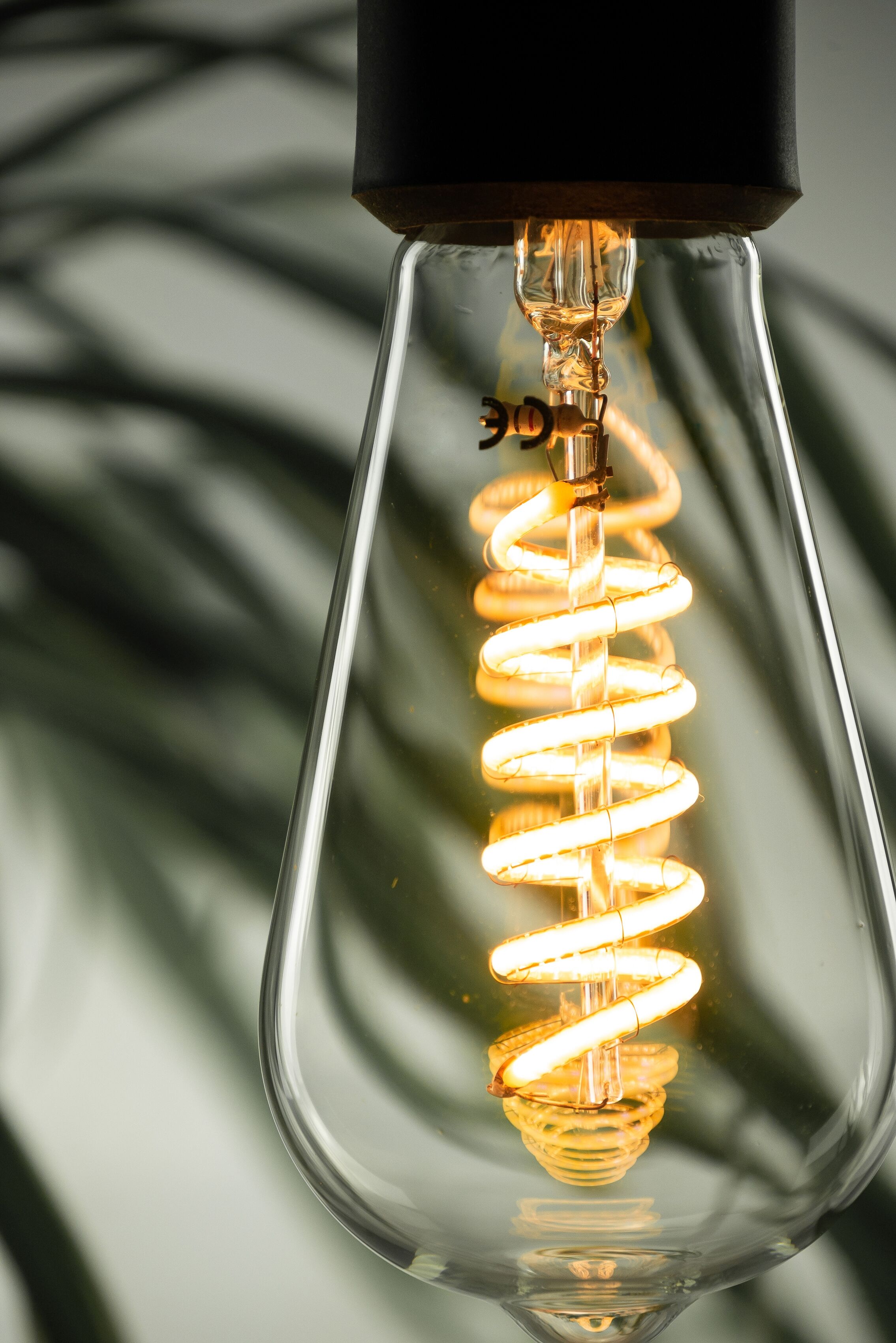 SEGULA LED-Leuchtmittel "LED Rustika Curved Spirale Ambient klar", Energieeffizienz: G (A-G), transparent, L:145cm Ø:65cm, Leuchtmittel, dimmbar, E27, Rustika Curved Spirale, klar, Ambient Dimming