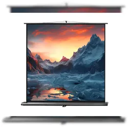 celexon Leinwand Ultramobil Professional 200 x 200 cm
