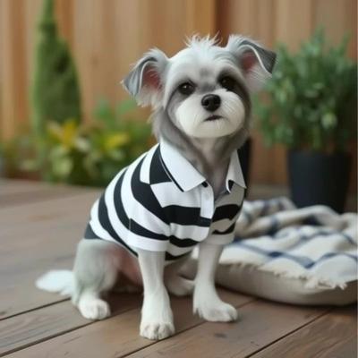 Inspired Living Classic Comfort Dog Polo Shirt For Summer Pet Style black m