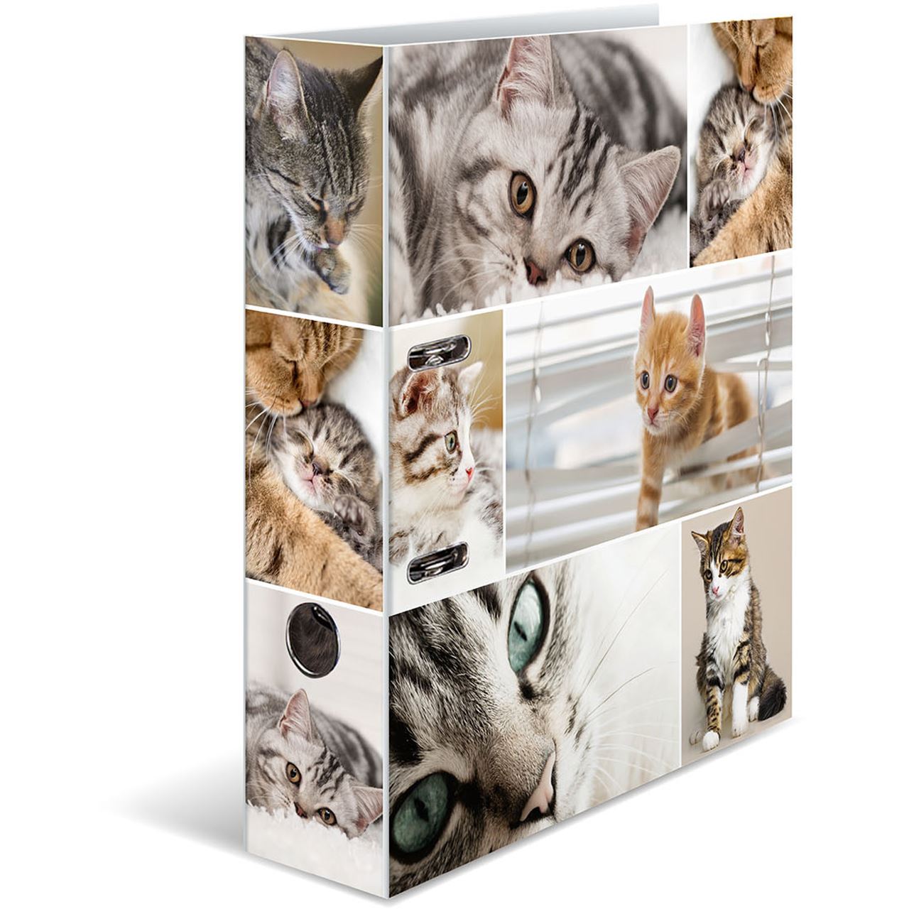 HERMA Ordner A4 Katzen