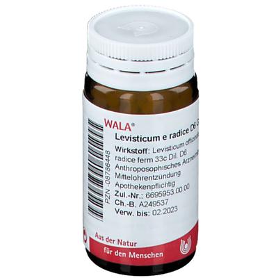 Levisticum E radice D 6 Globuli 20 g