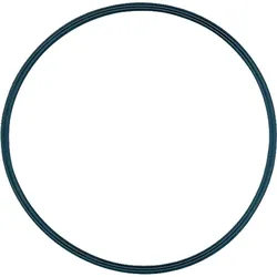 O-Ring (Deckeldicht.) 3007162 EINZELN