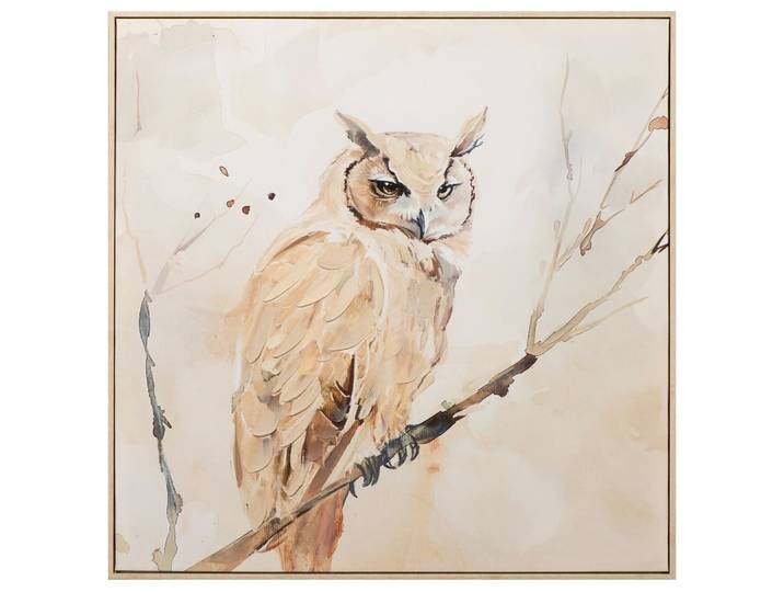 Bild Natural Owl image LAND / Grösse: 80 x 80 cm