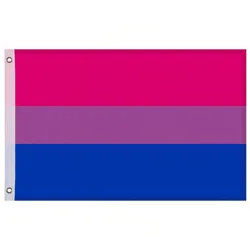 Gravidus LGBTQ+ Flagge 150x90cm mit Ösen – 8 Varianten zur Auswahl