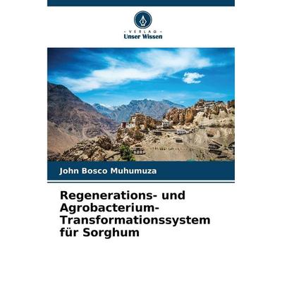 Regenerations- und Agrobacterium-Transformationssystem für Sorghum, Taschenbuch von John Bosco Muhumuza, Verlag Unser Wissen, 978-620-9-35346-8