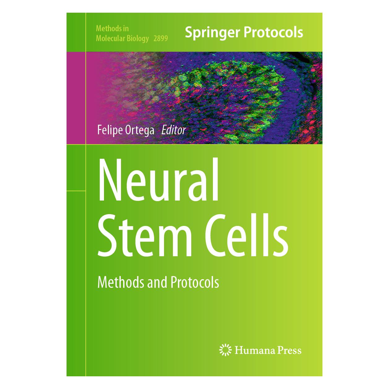 Springer Neural Stem Cells (Englisch, Hardcover) (61633452)