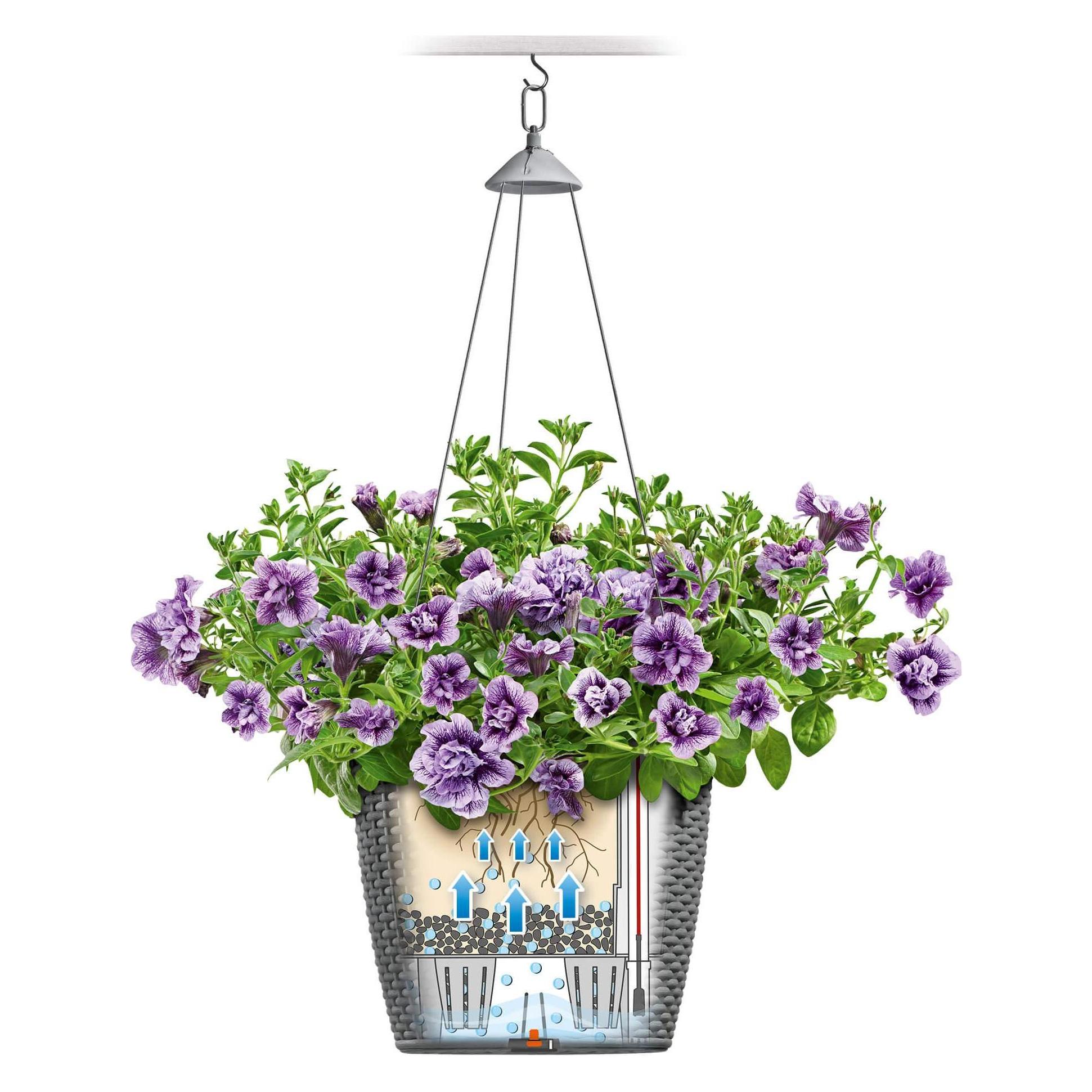 Lechuza Blumentopf Nido Cottage 28 (27 x 23 cm) (15107)