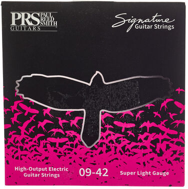 PRS Signature Strings 009 SL