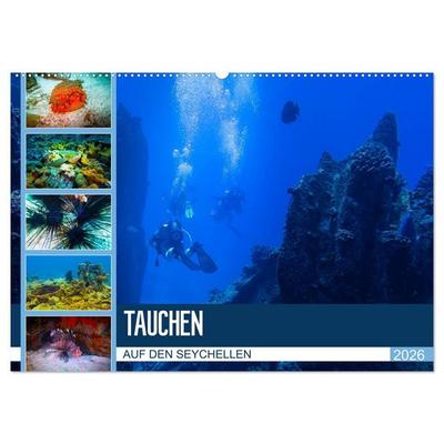 Tauchen auf den Sychellen (Wandkalender 2026 DIN A2 quer), CALVENDO Monatskalender