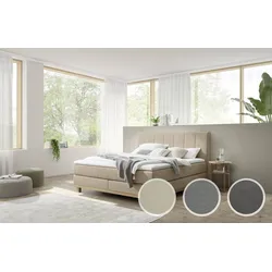 Hasena »Estela« Boxspringbett 200x200 cm / Monet steel / Bezug Matratze/Box nicht abnehmbar, Bezug Topper abnehmbar / Glamour-Top / Bezug