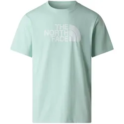 The North Face Herren Evolution Half Dome T-Shirt - XXL - Opal Frost