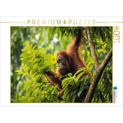CALVENDO Puzzle Von Baum zu Baum | 1000 Teile Lege-Größe 64x48cm Foto-Puzzle für glückliche Stunden, Sonstige von , Calvendo Puzzle