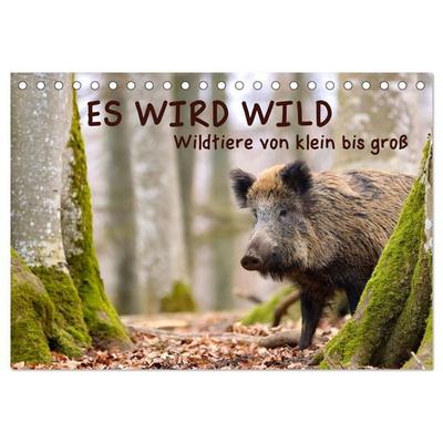 ES WIRD WILD Wildtiere von klein bis groß (Tischkalender 2027 DIN A5 quer), CALVENDO Monatskalender