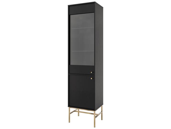 Masseno Vitrinenschrank TORINO 207,5 x 51,8 cm Modern Wohnzimmer Vitrine mit Tür Graphitfarben / Graphitfarben