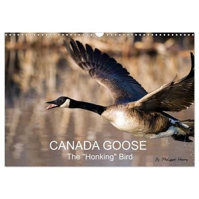 CANADA GOOSE / UK-Version (Wall Calendar 2027 DIN A3 landscape), CALVENDO 12 Month Wall Calendar