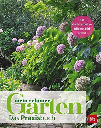 Mein schöner Garten - Mein schöner Garten: Das Praxisbuch - Preis vom 09.10.2026 07:28:09 h