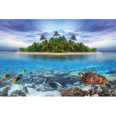 Fototapete PAPERMOON "Marine Life Maldives", bunt, B:5m L:2,8m, Vlies, Tapeten