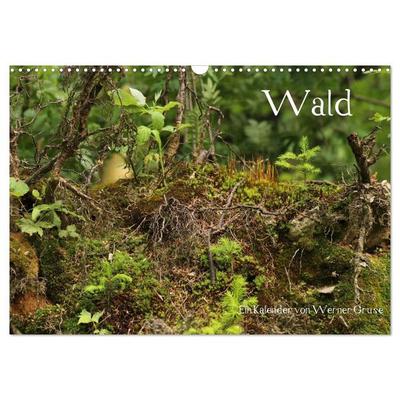 Wald (Wandkalender 2026 DIN A3 quer), CALVENDO Monatskalender