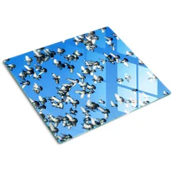 GLASPLATTE 60x52 cm Ein Schwarm Tauben