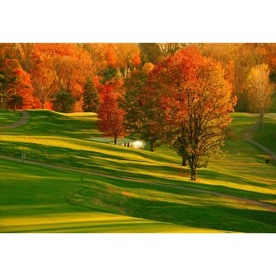 Fototapete PAPERMOON "Herbst Feld", bunt, B:5m L:2,8m, Vlies, Tapeten