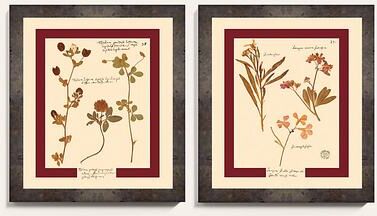 "Pressed Flowers Art - Print II, 26"" X 22"" - Ballard Designs"
