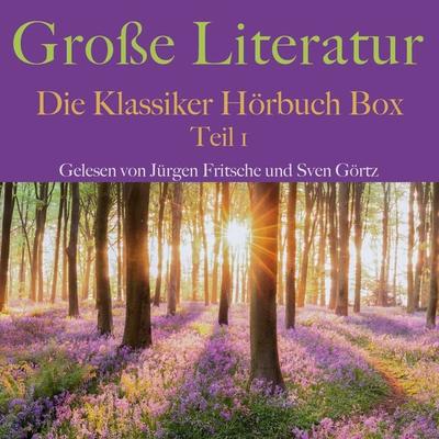 Große Literatur: Die Klassiker Hörbuch Box - E.T.A. Hoffmann,Theodor Storm,Edgar Allan Poe, Audio, 9783955978181