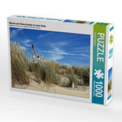 CALVENDO Puzzle Möwen und Seeschwalbe in einer Düne | 1000 Teile Lege-Größe 64x48cm Foto-Puzzle für glückliche Stunden