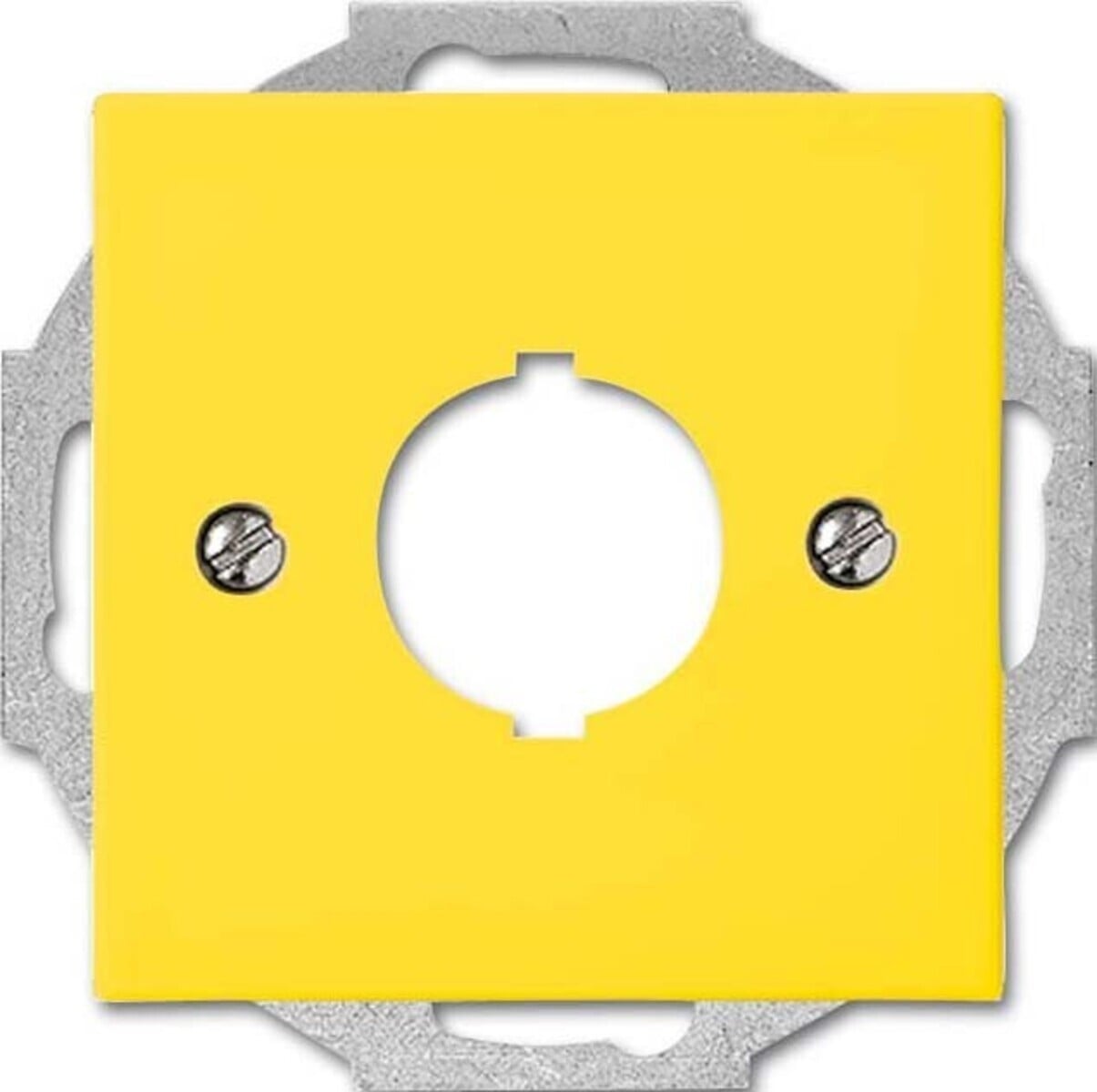 Busch-Jaeger Busch-balance SI Centrale schijf met draagring, Geel, 22,5 mm