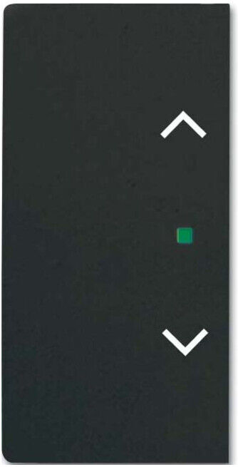 Busch-Jaeger Interrupteur basculant noir mat future linear 6232-20-885 (2CKA006220A0505)