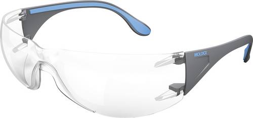 Moldex ADAPT Flex 2K 170001 Schutzbrille inkl. UV-Schutz Durchsichtig EN 170