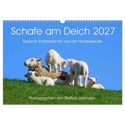 Schafe am Deich 2027. Tierische Impressionen von der Nordseeküste (Wandkalender 2027 DIN A3 quer), CALVENDO Monatskalender