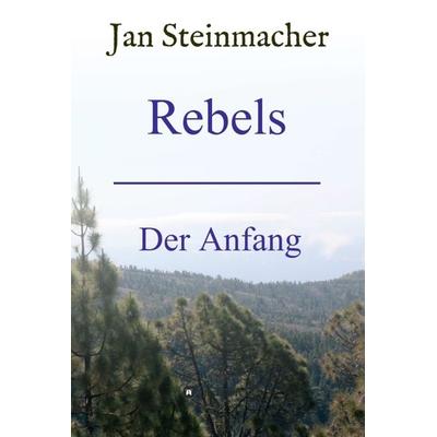 Rebels, Gebundene Ausgabe von Jan Steinmacher, Tredition, 978-3-7345-9109-9