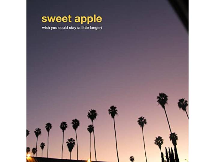 7-Wish You Could Stay