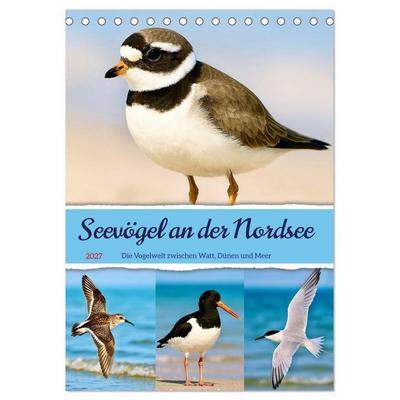 Seevögel an der Nordsee (Tischkalender 2027 DIN A5 hoch), CALVENDO Monatskalender