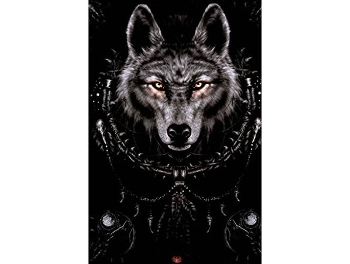 Poster (100R) Wolf Dreams (61X91,5)