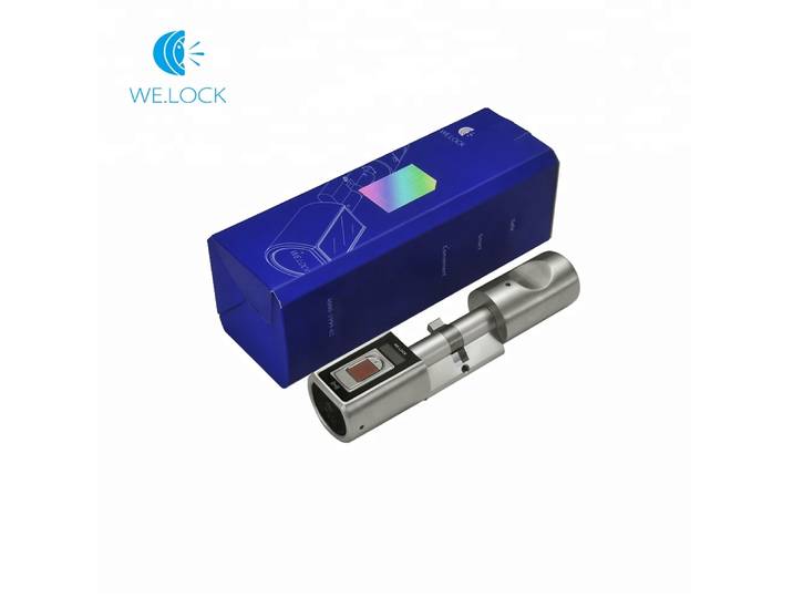 Nouveauté scanner biométrique d'empreintes digitales serrures de porte serrures de porte de maison intelligente empreinte digitale pour l'extérieur
