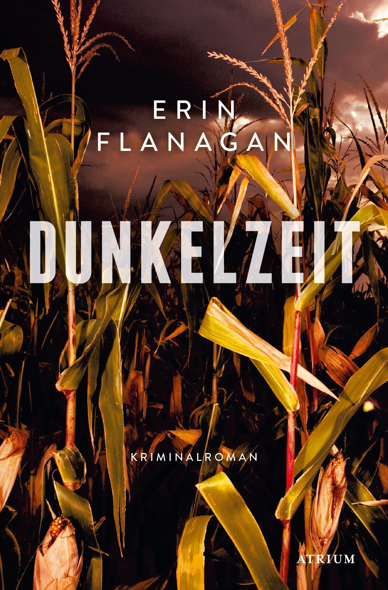 Dunkelzeit: Kriminalroman - Preis vom 11.10.2026 15:43:13 h