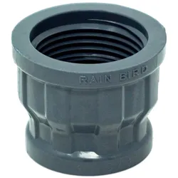 Rain Bird Gewindemuffe PVC 1 x 3/4 Innengewinde 10bar Grau Typ RB1330-131