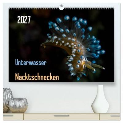 Unterwasser - Nacktschnecken 2027 (hochwertiger Premium Wandkalender 2027 DIN A2 quer), Kunstdruck in Hochglanz