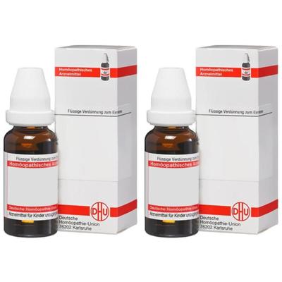 Viscum Album Urtinktur 2x 2x20 ml Dilution